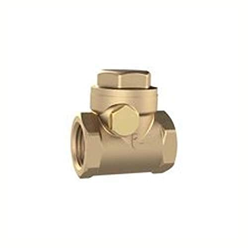 RIEGLER RK112MSE Clapet anti-retour DN 40 Laiton Souple G 1 2 PN 10 Bar