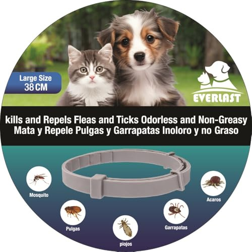 Tempotech ® Collier antiparasitaire Chien et Chat - 8 Mois de Protection - Contre Les puces, tiques, moustiques, acariens et poux - Collier Vermifuge (38 cm 1 Unité)