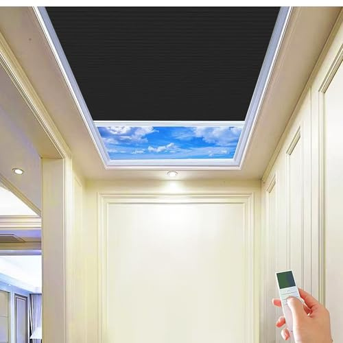TIPIACE Rechargeable Motorized Skylight Blinds (Full Blackout-Black 93021N) | Silent Motorized Skylight Blinds, Remote & Smart Voice Control, Half Blackout Fabric, Heat insulation, Fit Skylight Windows