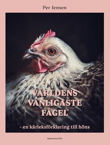 Världens vanligaste fågel: en kärleksförklaring till höns