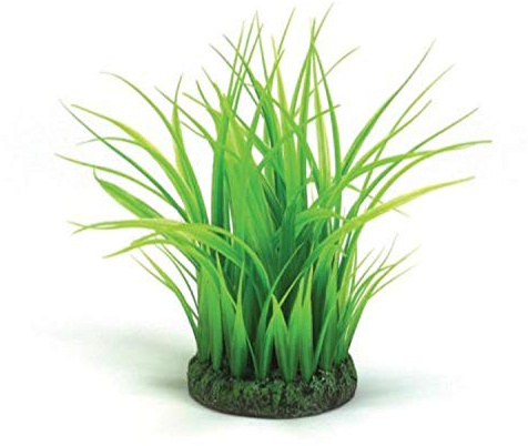biOrb 46103 Grasring S - Grasimitation, 360-Grad-Modell, Aquarien-Dekoration / für alle biOrb Aquarien geeignet