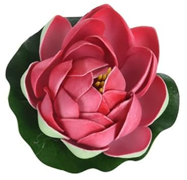 CASIKA - Planta Flor NENÚFAR Olbia 10CM - Fucsia