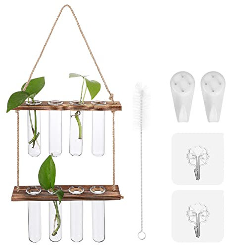 OFFSCH Holzständer Wandhalterung Mit Glas-reagenzgläsern Hydrokultur Propagation Station Für Zimmerpflanzen Balkon Büro Wohnzimmer Dekorationspflanzenhalter