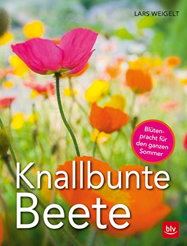 Knallbunte Beete: Blütenpracht für den ganzen Sommer