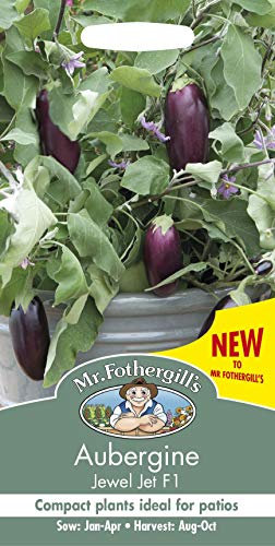 Mr Fothergills - Vegetable - Aubergine - Jewel Jet F1-10 Seeds