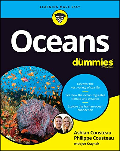For Dummies
