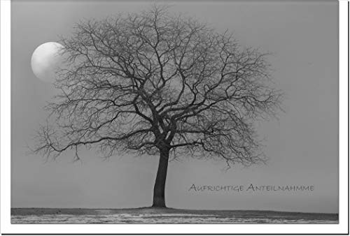 metALUm Trauerkarte ABSCHIED | Baum im Mondschein 3300012