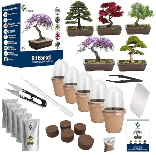 NOPALIA® Kit Bonsai – Coltiva il Tuo Bonsai da Interno – Idea Regalo Originale per Uomo Donna Bambini – Kit Piante Fai da Te – Giardinaggio Zen – Semi Facili da Far Germogliare