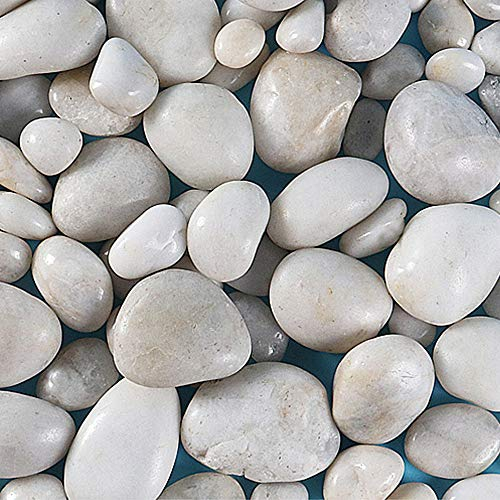 Mdurian Cailloux Naturel Poli Gravier décoratif Pierres de Roche de rivière pour Pot de Fleurs Jardin Mariage Maison Vase Aquarium 20-40mm 1KG Blanc