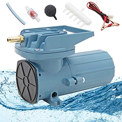 Hanchen Aquarium Sauerstoffpumpe 115L/min mit 12 Köpfe Verteiler Gewerbliche Luftpumpe für Angeln Sauerstoffversorgung Teich Belüftung | 12V/120W, mit Ø4mm Schlauch (20m) und 12 STK Luftsteine