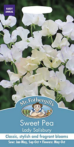 Mr Fothergill’s Sweet Pea Lady Salisbury Flower Seeds, Cream/White