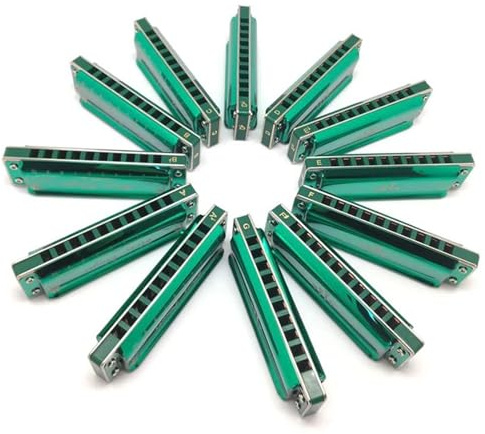 Professional Mundharmonika Major Blues Mundharmonica Setzt 12 Schlüssel -Diagonic Mundhyalonica In Key Of CDEFGA BB B AB Für Anfänger Erwachsene