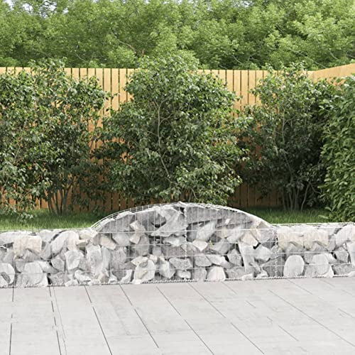 Snsowed Cesti Gabbioni ad Arco 2 pz 300x30x40/60 cm Ferro Zincato,Gabbioni,Cesti Gabbioni ad Arco,Gabbioni da Giardino,Gabbioni Metallici per Pietre-3146467