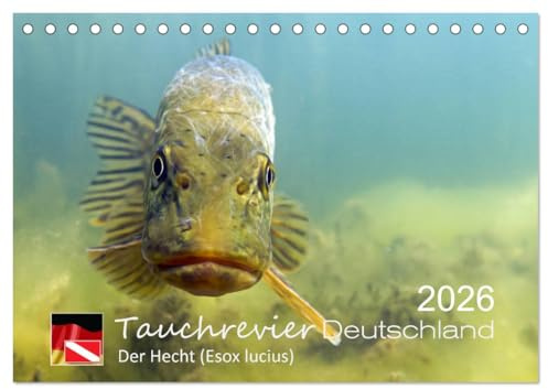 Tauchrevier Deutschland - Der Hecht (Tischkalender 2026 DIN A5 quer), CALVENDO Monatskalender: Hecht (Esox lucius) (CALVENDO Tiere)