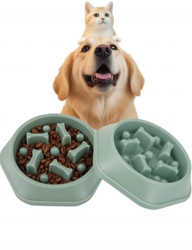 DERDOUT Slow Feed Dog Bowl Food Anti swelling, Anti swallowing, Healthy Diet Interaction, Non slip Feeder for Small and Medium Dogs Pet Bowl - Green