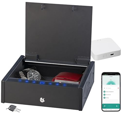 Xcase Smarter Tresor: Tresor mit biometrischer Fingerabdruckerkennung, WLAN-Gateway und App (Möbeltresor, Mini-Schlüssel-Safe, Möbel)