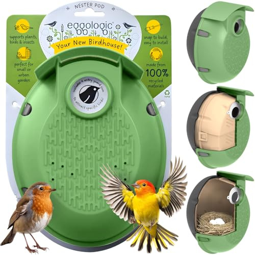 Eggologic Nester Pod - Perch-Free Vertical Bird Box for Wild Sparrow and Blue Tit, Bird Houses Made from 100% Recycled Materials for Strength and Durability – Tuscan Green