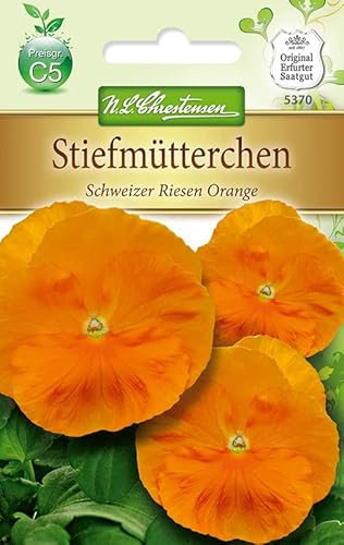 N.L.Chrestensen 5370, Viola wittrockiana Schweizer Riesen, Orange Sonne, Orange