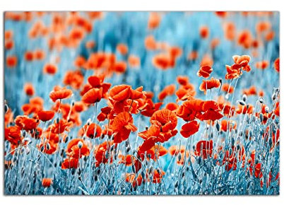 Startonight Cuadro sobre Vidrio Acrílico - Amapolas Azules Rojas - Moderno Cuadro de Cristal Acrílico 60 x 90 cm