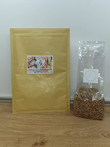 King Oyster Mushroom Spawn/Seed, 500g Heat Sealed Bag (Pleurotus eryngii), Foragers Table
