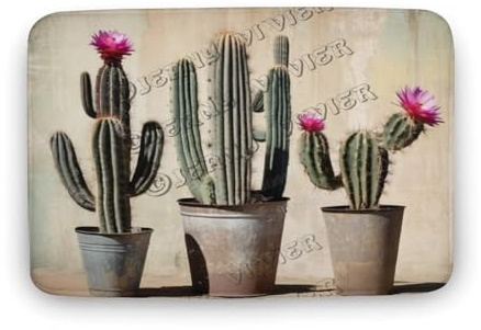 Cactus Coral Velvet Bath Rugs Non Slip Shower Mat 32x20 Bathroom Mat Cactus Kitchen Rug Boho Girls Room Decor Absorbent Kitchen Floor Carpet for Home Office