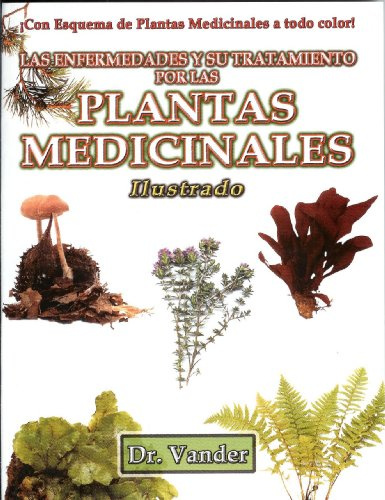 plantas medicinales ilustrado