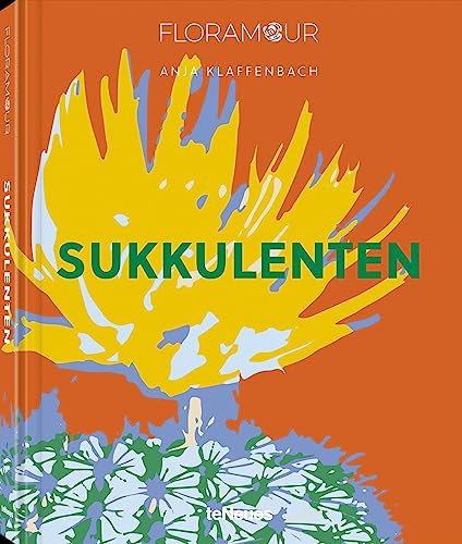 Floramour: Sukkulenten