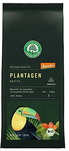 LEBENSBAUM Bio Herkunftskaffee, Mexiko Plantagen Kaffee gemahlen, Intensität 3/5, naturmilder, fein aromatischer Bio-Kaffee mit leichter Säure, 250 g