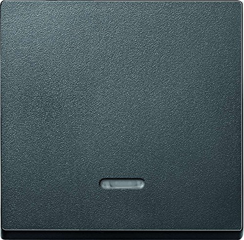 Merten Wippe mit Kontrollfenster, System M, anthrazit, 431014