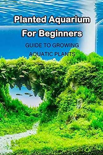 Planted Aquarium For Beginners: Guide To Growing Aquatic Plants