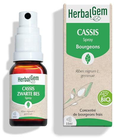 HerbalGem Macérât-Mère Spray Cassis Bio 15 ml | Riche en antioxydants, aide à maintenir la bonne santé des muscles et articulations. Extrait de bourgeon frais, vegan.