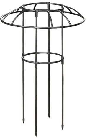 Graticcio a Ombrello,Supporto Decorativo Verticale Antiruggine Stabile per Piante Rampicanti | Graticcio a Fungo con Cima Fiorita,per Vite Rosa Ortaggi Cetriolo Ortensie Pothos
