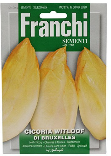 Franchi Belgian Witloof Chicory
