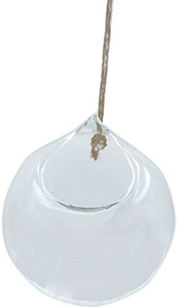 Tiuimk Jarrón de cristal transparente para colgar, botella de paisaje en miniatura, jarrón hidropónico minimalista, decoración del hogar, jardinería interior, 12 cm