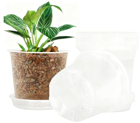 Lot de 20 pots de culture pour - Transparents - Avec drainage et soucoupes - Pour tomates, fraises, orchidées, succulentes, cactus, carottes, concombres et poivrons