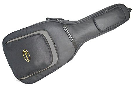 Clearwater Acoustic Guitar Soft CASE for Western/DREADNOUGHT Guitar GIG Bag 10-25mm Padding