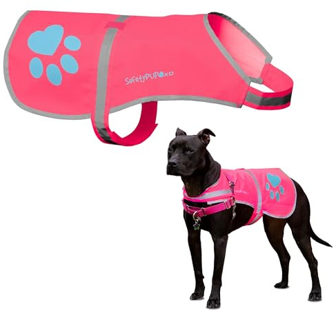 SafetyPUP XD Dog Reflective Vest – Hi-Vis Fluorescent Visibility that Helps to Safeguard Your Pet On/Off Leash in Urban & Rural Areas (Pink, Medium)