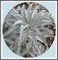 475 mg de California White Sage más de 200 semillas de Salvia ~ sagrado ceremonial Apiana Aromático
