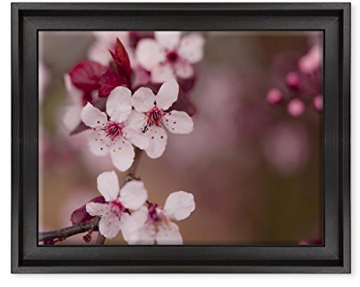 QUADRO SU TELA CANVAS INTELAIATO - CON CORNICE - Fiori Rosa Di Pesco - Paesaggio Natura Panorama - 30x40cm - Stile Contemporaneo Nero - (cod.3753)