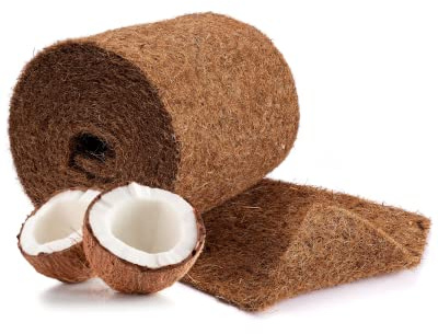 N gnagarmatta.de kokosmatta tillverkad av 100 % kokosfibrer – 25 cm x 5 m rulle odlingsmatta utan latex – vinterskydd och köldskydd för växter – trädskydd metervara naturprodukt