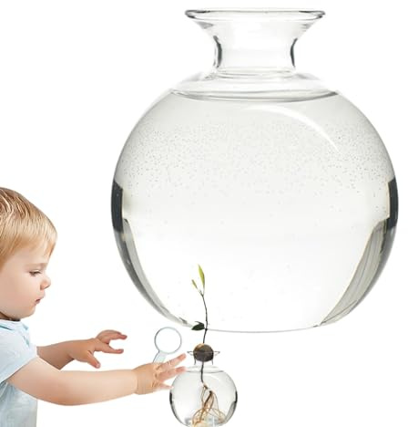 Vaso da allevamento per avocado, castagne, ghiande e avocado, set di allevamento di alta qualità, in germico speciale da giardino, set per la coltivazione di semi di semi per gli amanti del