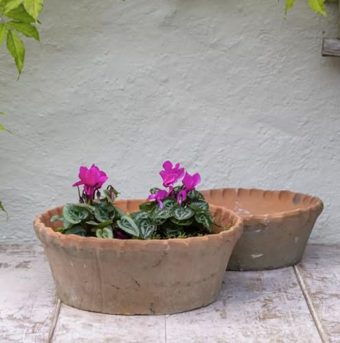 1x Round Terracotta Dish Planter with Frill Edge, Shallow Succulent Plant Pot, Redstone Weathered Terracotta Plant Pot, Aged Stone Rustic Pot, Weathered Seeds Bulb Crocus Pot Planter (Small)