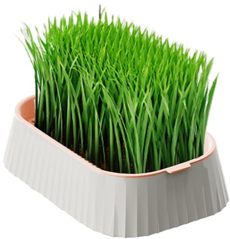 Katzengras-Pflanzgefäß | -Gras- für den Innenbereich – Doppelschichtiger Behälter, Kindergartenbox, Hydrokultur, gesunder Weizengras-Züchter, Pflanzkasten für Zuhause, Garten