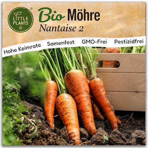 Little Plants BIO Möhren Samen 800 Möhrensamen Nantaise Gemüsesamen Karottensamen für Gemüsegarten Samenfest Gemüse Samen für Küche, Balkon und Garten