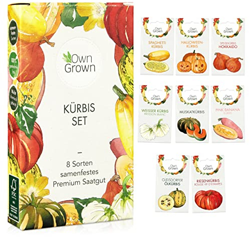 Kürbis Samen Set: 8 Sorten Premium Kürbis Saatgut für die Anzucht von Kürbis Pflanzen im Garten, Hochbeet und Gewächshaus – Muskatkürbis Samen, Halloween Kürbis Samen, Beste Gemüse Samen von OwnGrown