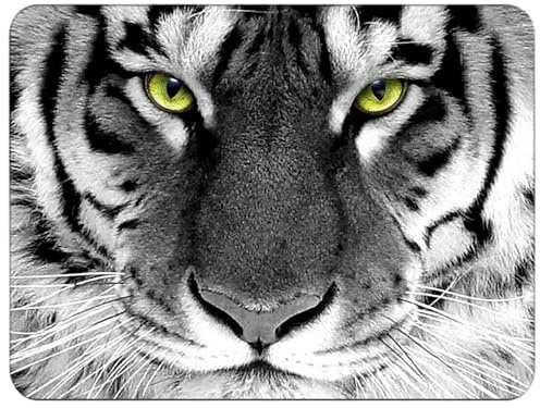 Silent Monsters Musmatta 35 x 26 cm, Musmattor i tyg halkfri och tyst, Tiger, gaming, kontor, hemmakontor - tvättbar, rullbar - laserskuren