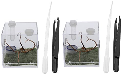 PATKAW 2 Sätze Spinnen Terrarium - Lebewesenkäfig Reptilienbehälter Futterkasten Für Insekten Klare Lebensraumbox Für Spinnen Kuscheltier Schnecke Zuchtbox Schnecken Acryl Gefängnisausbruch