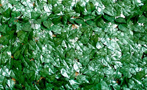 VERDELOOK Sempreverde® Point, Siepe Artificiale 1x3 m, Foglia Lauro, per Decorazioni Giardino