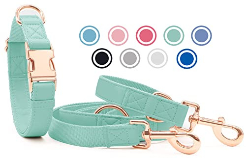 Weich Leder Hundehalsband und Leine (2m) Set - 3-Fach Verstellbar Hundeleine mit Halsband, Stilvollen Rose Gold Metall Schnalle & Nylon Hund Leinen für Welpen Kleine Mittlere Große Hunde Grün,L