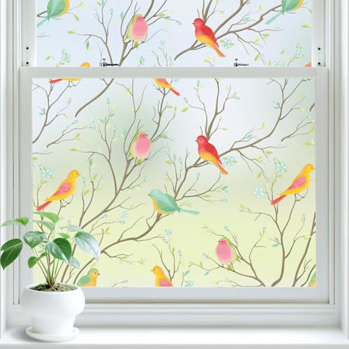 Lifetree Fensterfolie Blickdicht Sichtschutz mit Bunten Vögeln 44.5x300cm